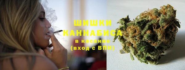 Альфа ПВП Карпинск