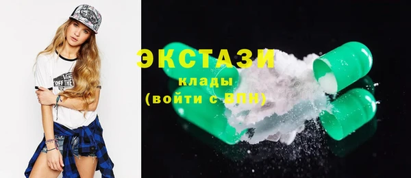 индика Инсар