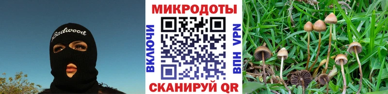 Псилоцибиновые грибы ЛСД  MEGA как зайти  Хабаровск 