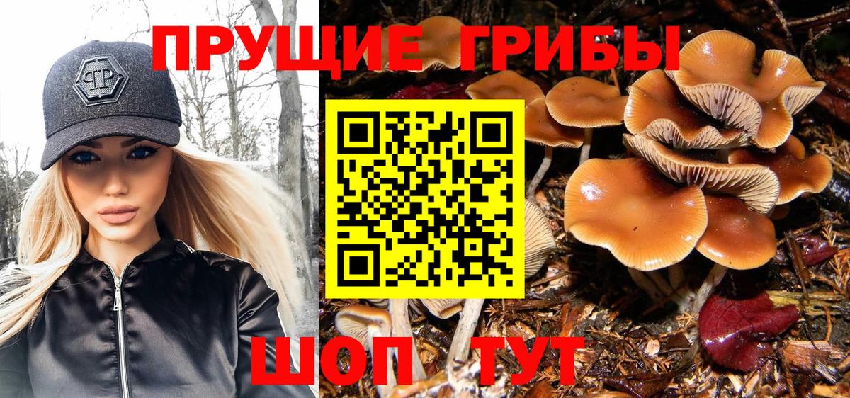 Хабаровск  Галлюциногенные грибы Psilocybine cubensis  Псилоцибиновые грибы MAGIC MUSHROOMS  Вход с VPN 
